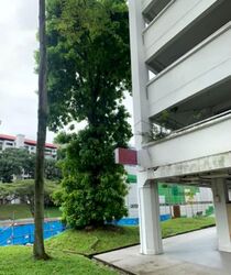 Blk 175 Bukit Batok West Avenue 8 (Bukit Batok), HDB 4 Rooms #549337431